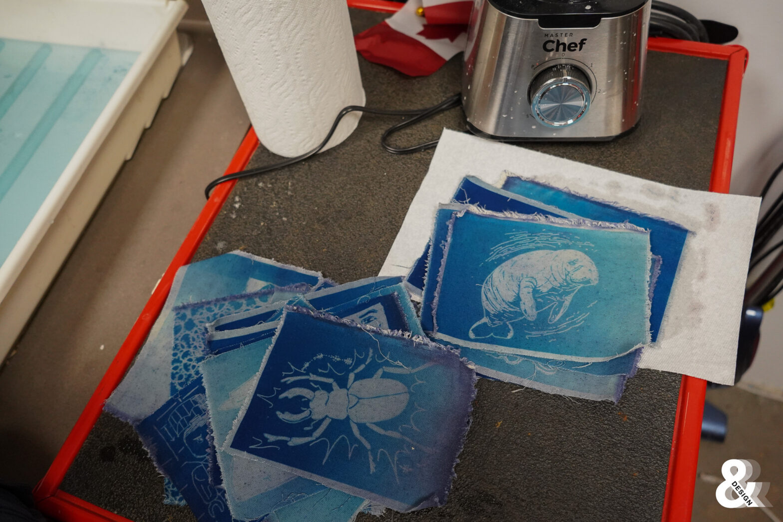 Cyanotype Workshop